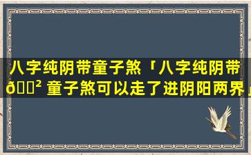 八字纯阴带童子煞「八字纯阴带 🌲 童子煞可以走了进阴阳两界」